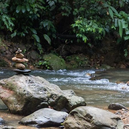 Rain Forest Guest House And Jungle Trekking Букит-Лаванг Экстерьер фото