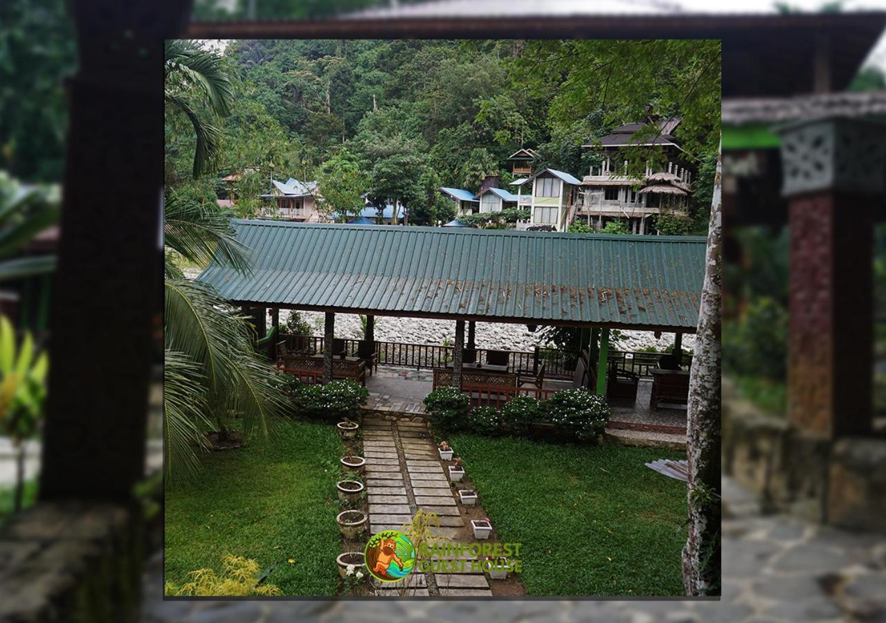 Rain Forest Guest House And Jungle Trekking Букит-Лаванг Экстерьер фото