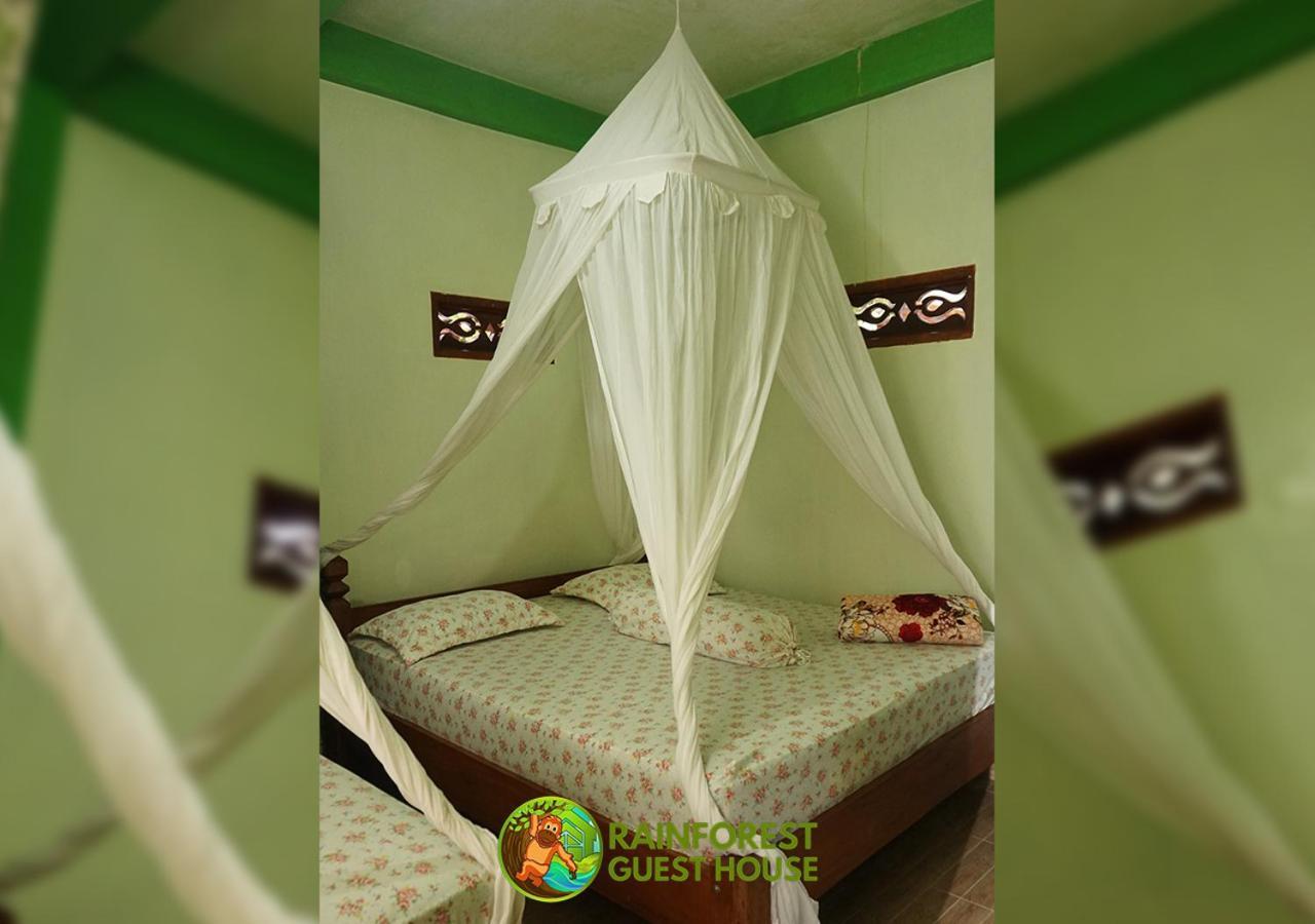 Rain Forest Guest House And Jungle Trekking Букит-Лаванг Номер фото