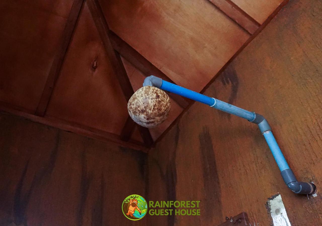 Rain Forest Guest House And Jungle Trekking Букит-Лаванг Экстерьер фото