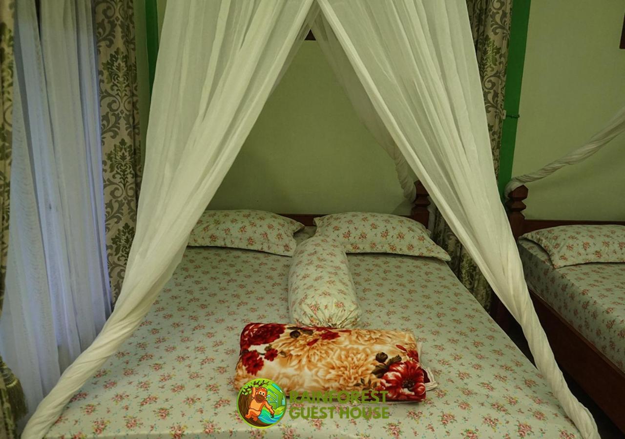 Rain Forest Guest House And Jungle Trekking Букит-Лаванг Номер фото