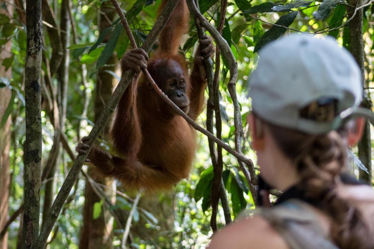 Rain Forest Guest House And Jungle Trekking Букит-Лаванг Экстерьер фото